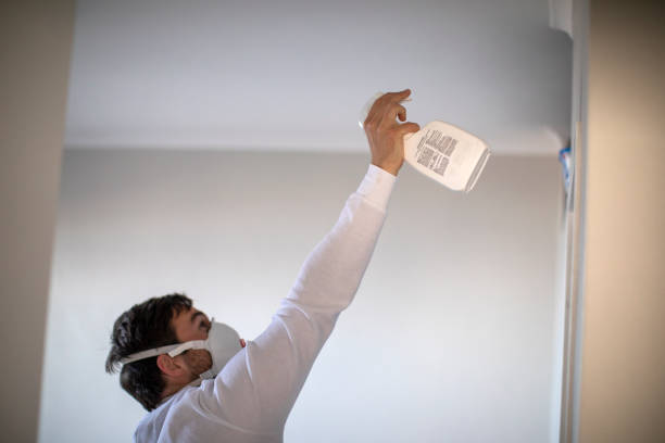 Best Insurance-Related Mold Remediation in Milbank, SD